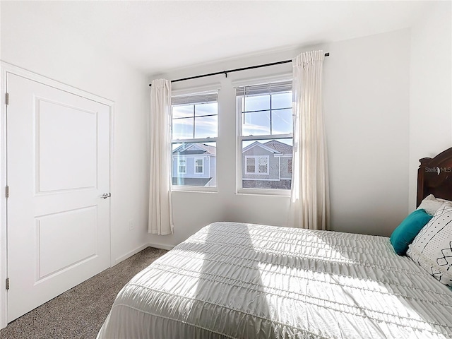 bedroom featuring carpet floors