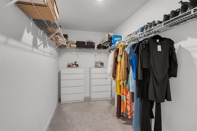 walk in closet featuring carpet