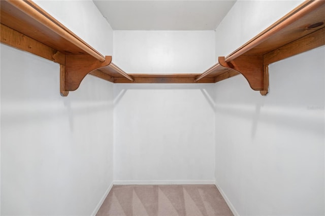 spacious closet featuring light carpet