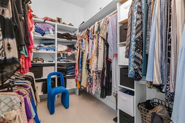 view of spacious closet