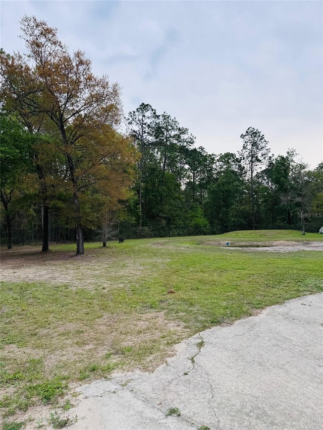 4535 Melanie St, Hastings, FL 32145 - photo 12