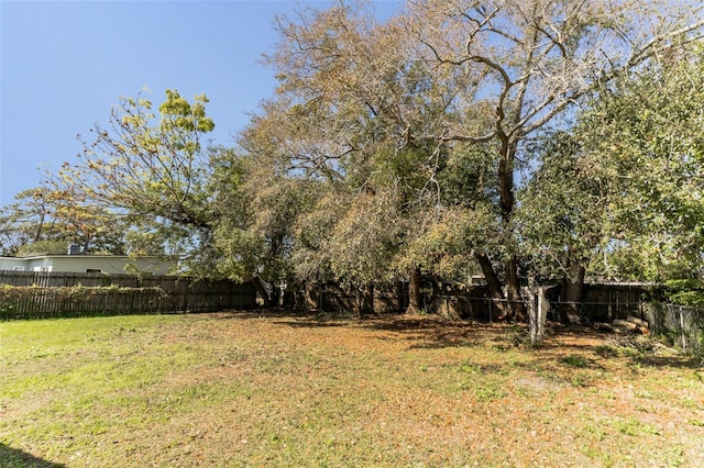 view of yard featuring a fenced backyard