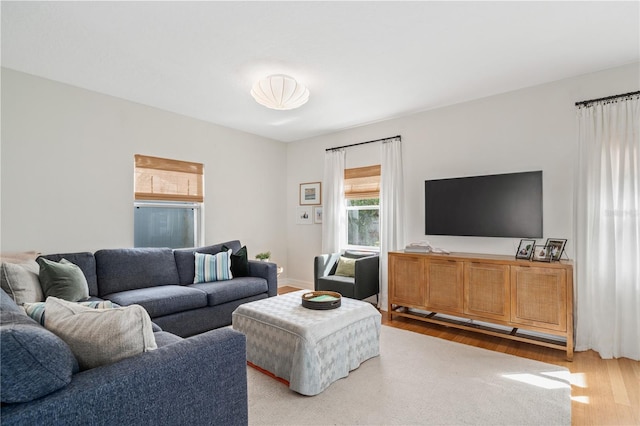 living room with wood finished floors