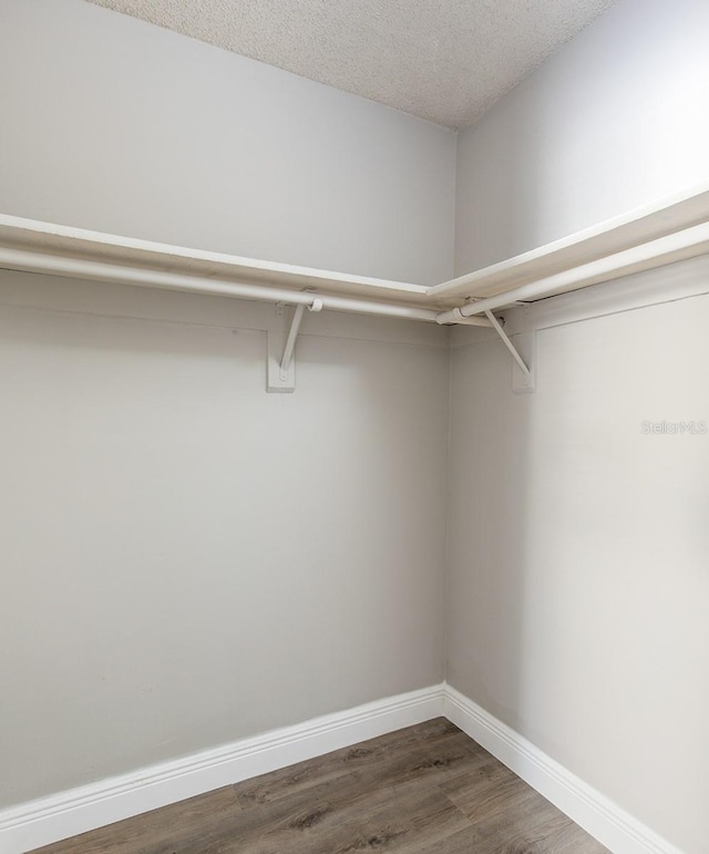 spacious closet with dark wood-type flooring