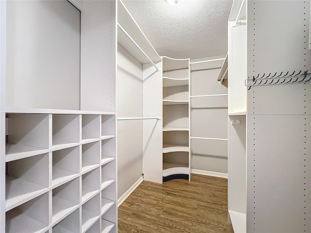 spacious closet featuring wood finished floors