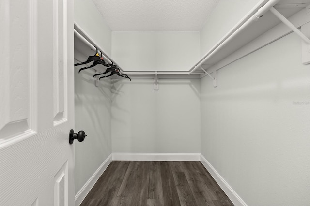 walk in closet with dark wood-style floors