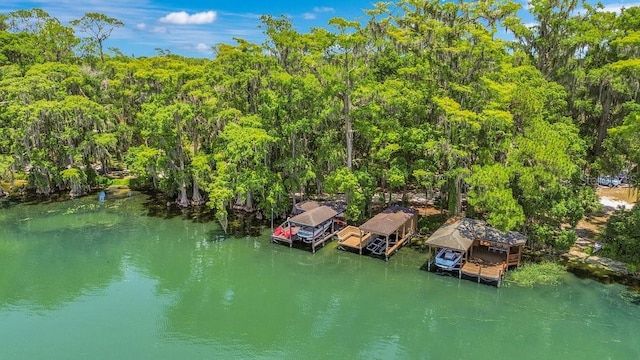 1400 Alabama Dr, Winter Park, FL 32789 - drone / aerial view featuring a water view