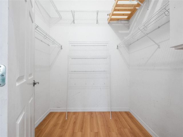 walk in closet featuring wood finished floors