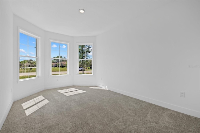 218 Soursop, Punta Gorda, FL 33955 - photo 35