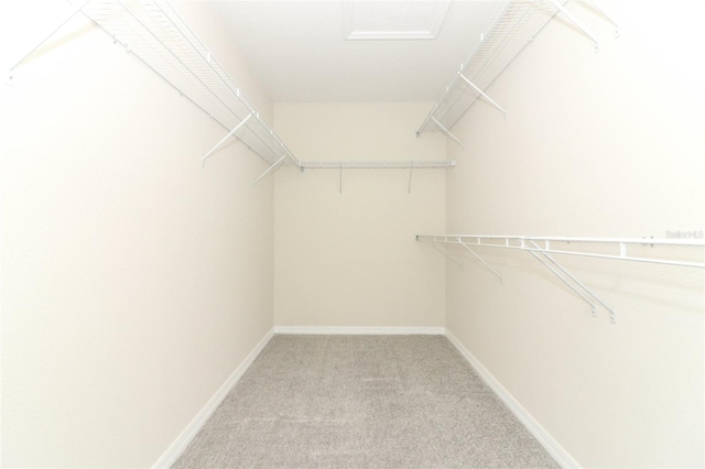 3557 Brighton Park Cir, Orlando, FL 32812 - photo 22