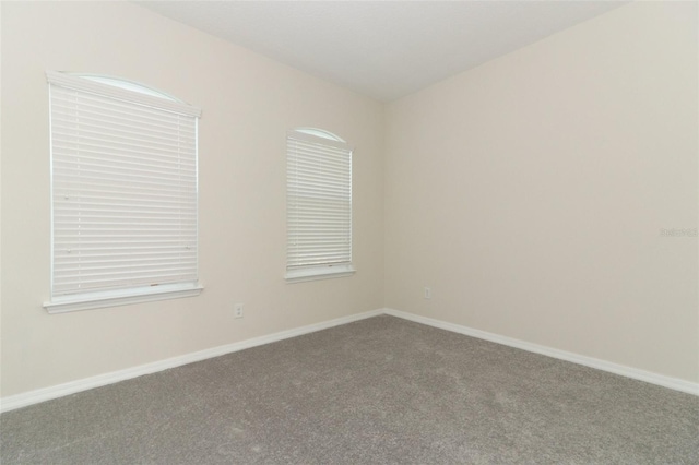 3557 Brighton Park Cir, Orlando, FL 32812 - photo 24
