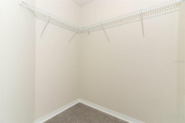 3557 Brighton Park Cir, Orlando, FL 32812 - photo 29