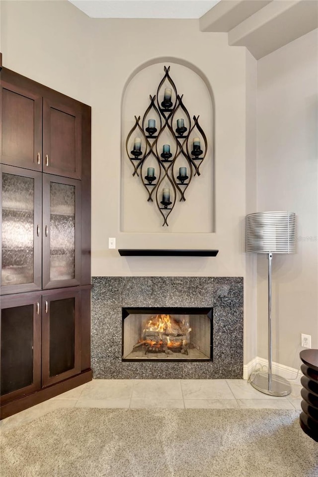 details featuring a premium fireplace