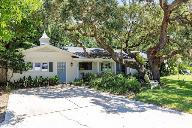 ranch-style home with driveway, a front lawn, and stucco siding