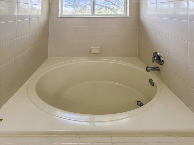 interior details featuring walk in shower and a washtub