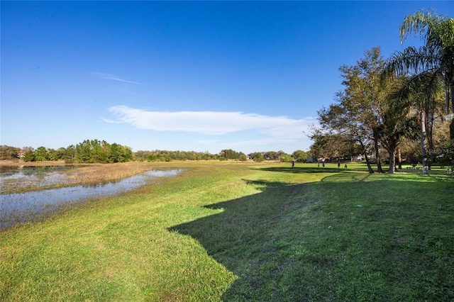 view of yard with a water view