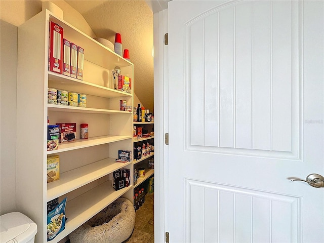 view of pantry