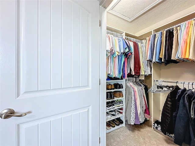 walk in closet with attic access and carpet flooring