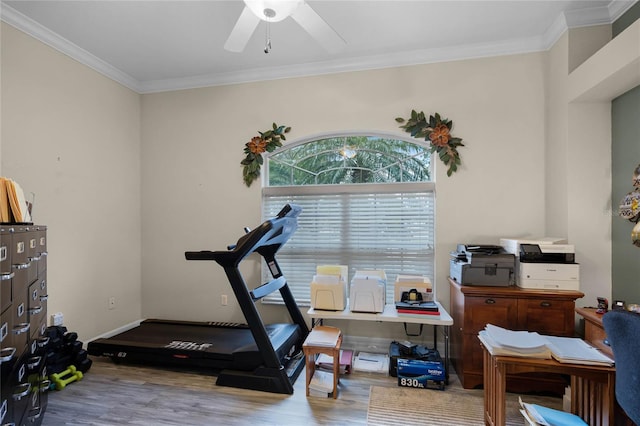 workout area with ceiling fan, ornamental molding, wood finished floors, and baseboards