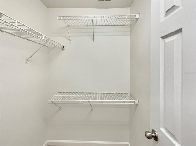 view of spacious closet