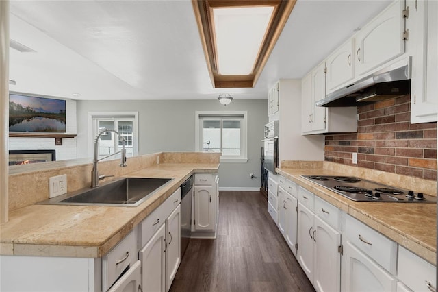 kitchen with electric stovetop, a sink, stainless steel dishwasher, under cabinet range hood, and a wealth of natural light