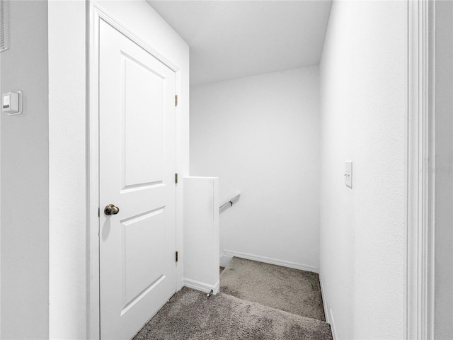 staircase featuring carpet flooring and baseboards