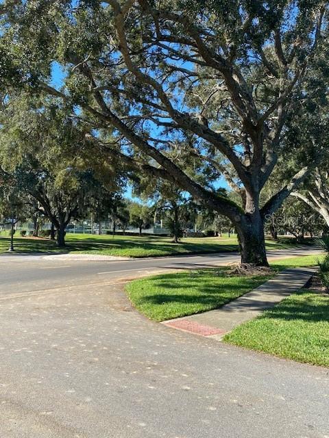 view of property's community with a yard