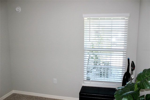 room details featuring baseboards and carpet flooring