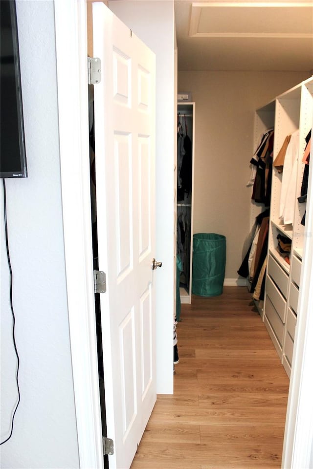 walk in closet featuring light wood-type flooring