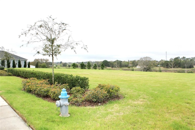 view of yard featuring a rural view