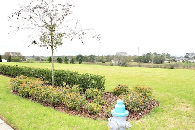 view of yard featuring a rural view