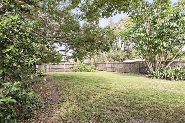 view of yard with a fenced backyard