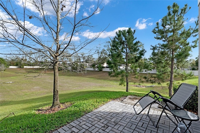 view of yard with a patio area