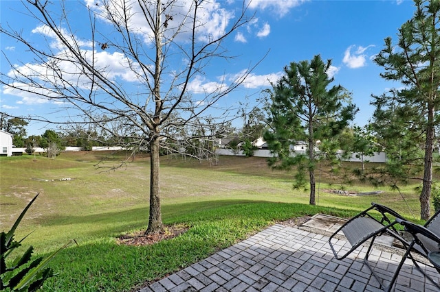 view of yard featuring a patio area