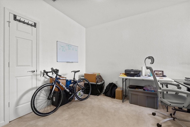 office area featuring carpet