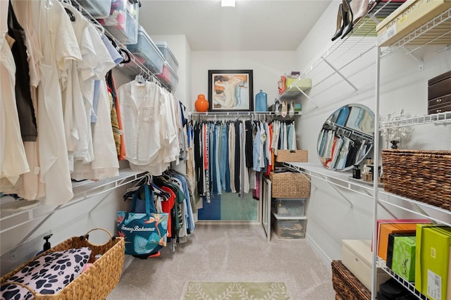 view of spacious closet