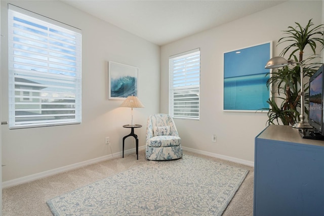 living area with carpet and baseboards