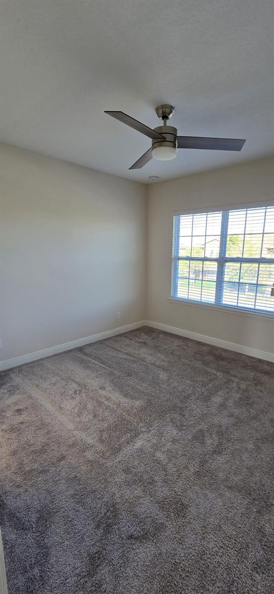 carpeted empty room featuring ceiling fan and baseboards