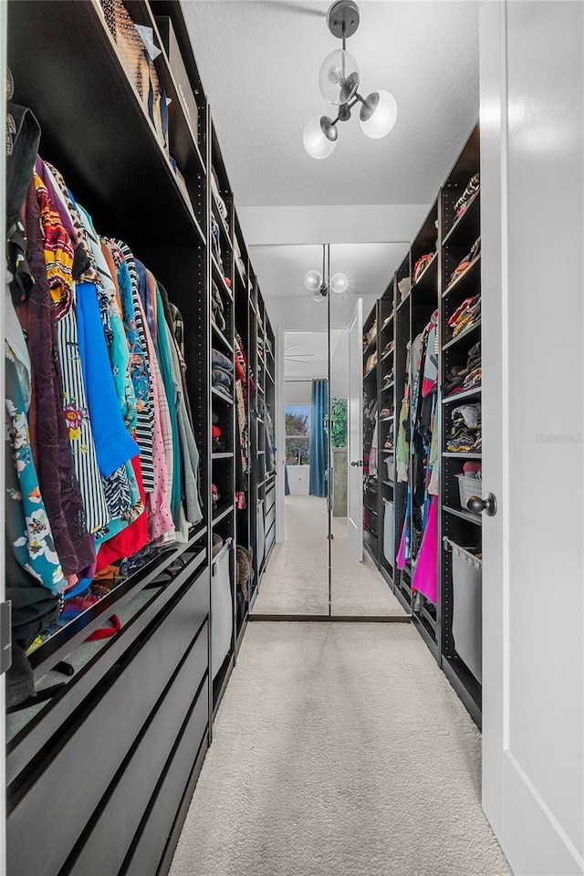 walk in closet featuring carpet