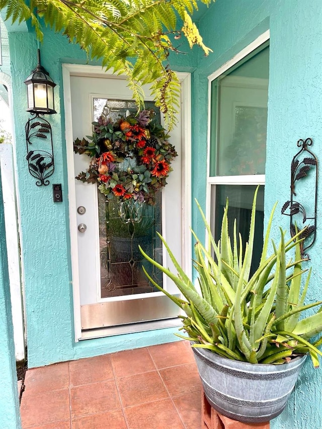 view of exterior entry with stucco siding