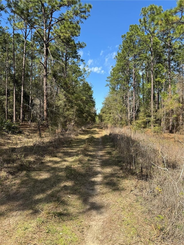 SW 156th Ct, Ocala FL, 34481 land for sale