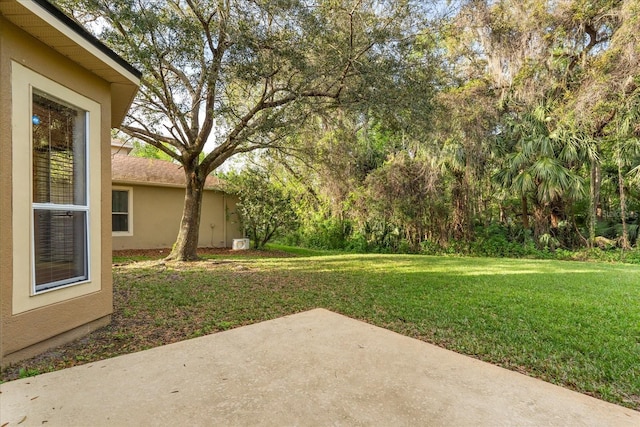 view of yard featuring a patio area