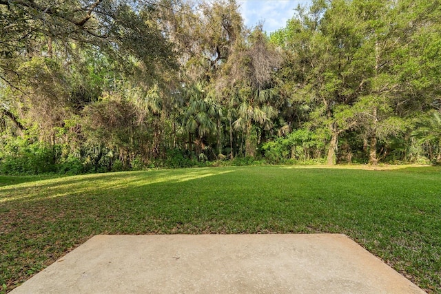 view of yard with a patio area