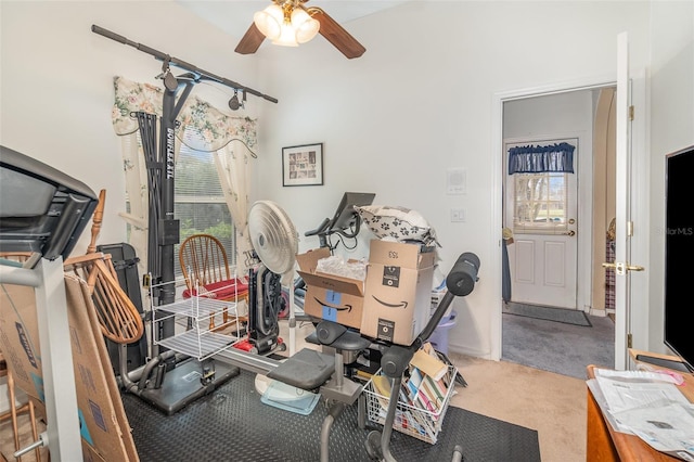 exercise room with ceiling fan and carpet floors