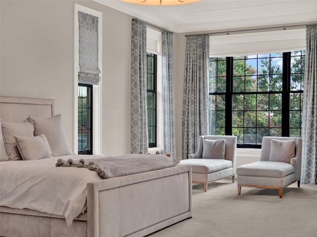 carpeted bedroom featuring multiple windows