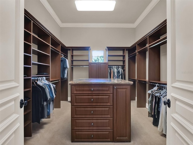 spacious closet with light carpet