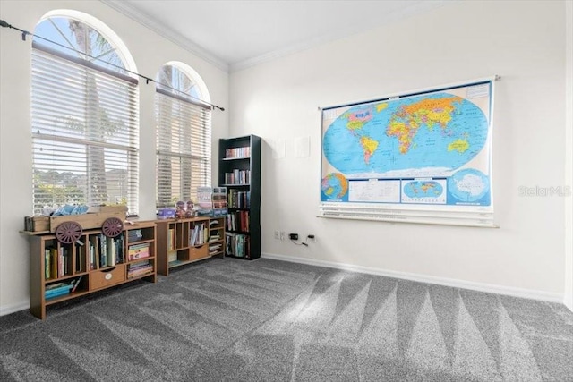 interior space with carpet floors, baseboards, and ornamental molding