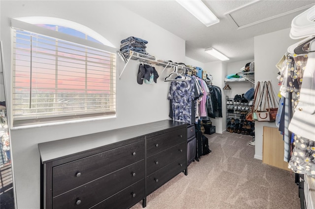 spacious closet with attic access and carpet flooring