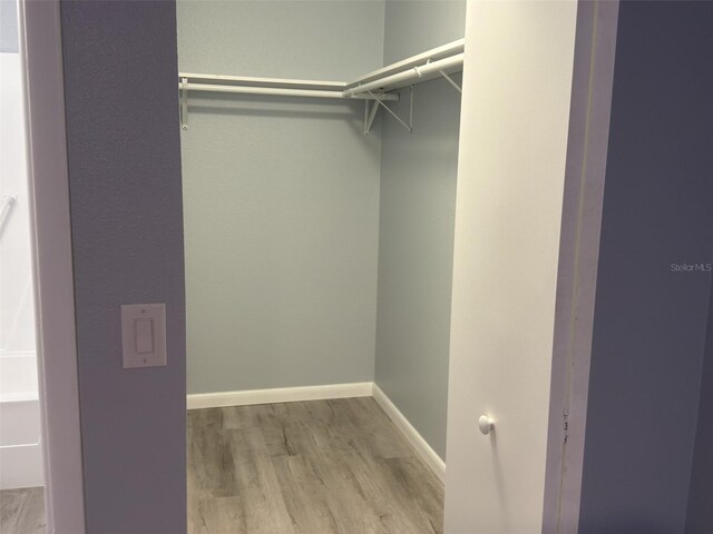 walk in closet featuring wood finished floors