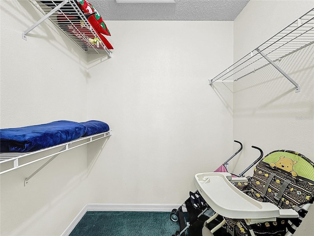 2040 Royal Bay Blvd Unit 30, Kissimmee, FL 34746 - spacious closet featuring carpet flooring